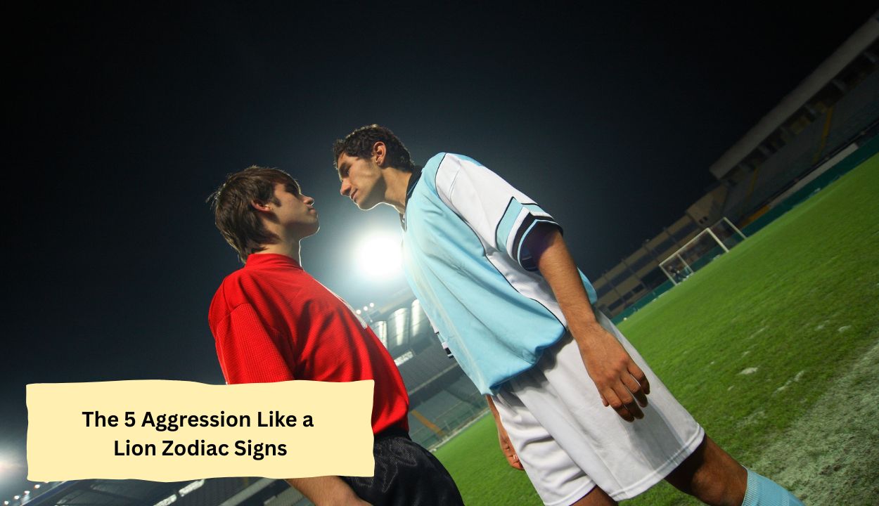 The 5 Aggression Like a Lion Zodiac Signs